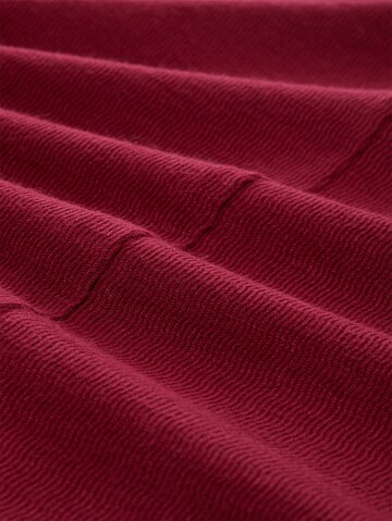 TOM TAILOR Sweatshirt in Rood