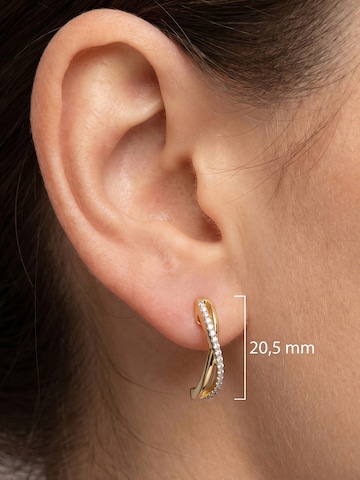 Jobo Earrings in Gold