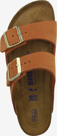 BIRKENSTOCK Pantofle 'Arizona' – hnědá