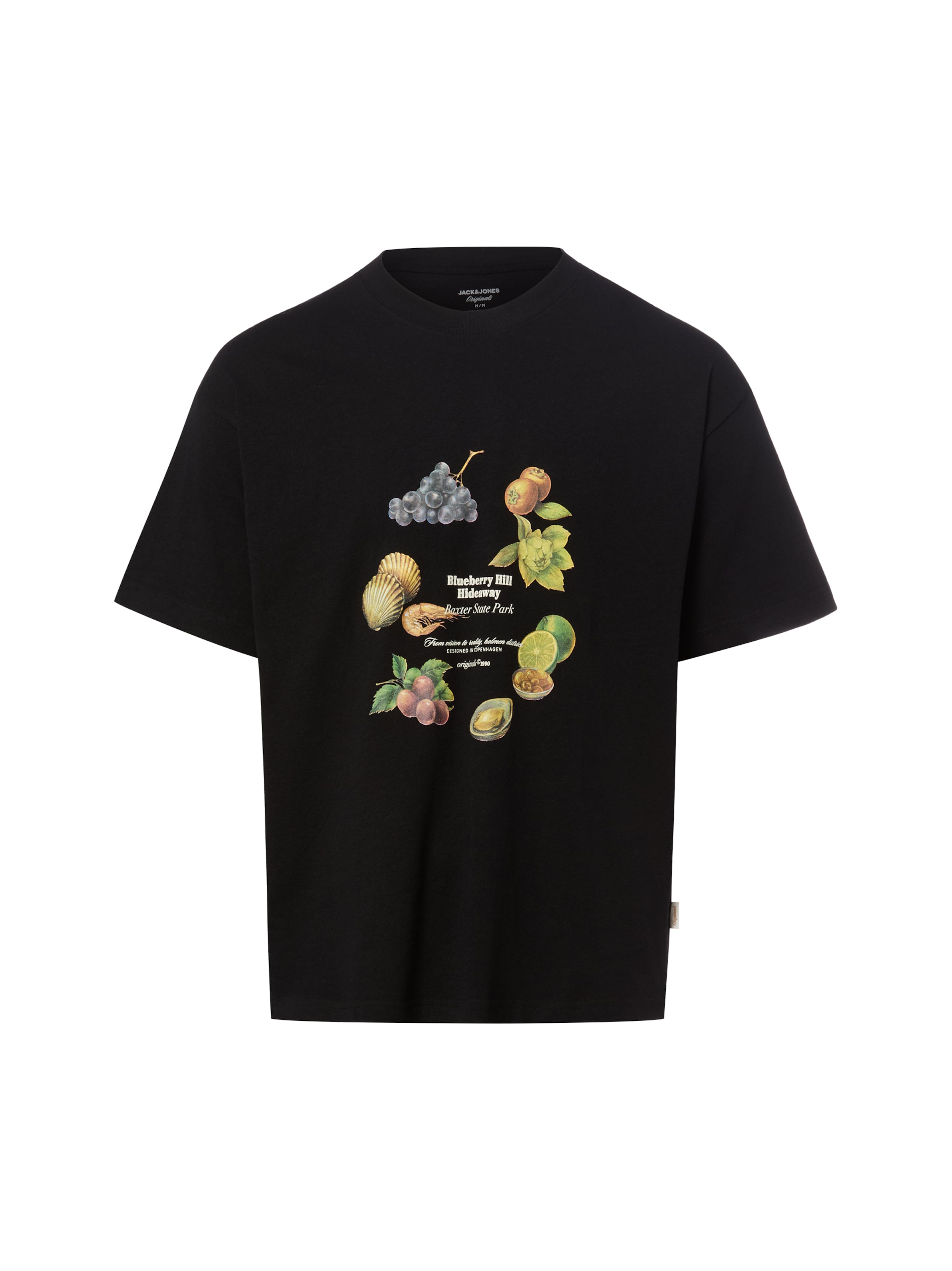 JACK & JONES Shirt ' Rmaine ' in Black: front