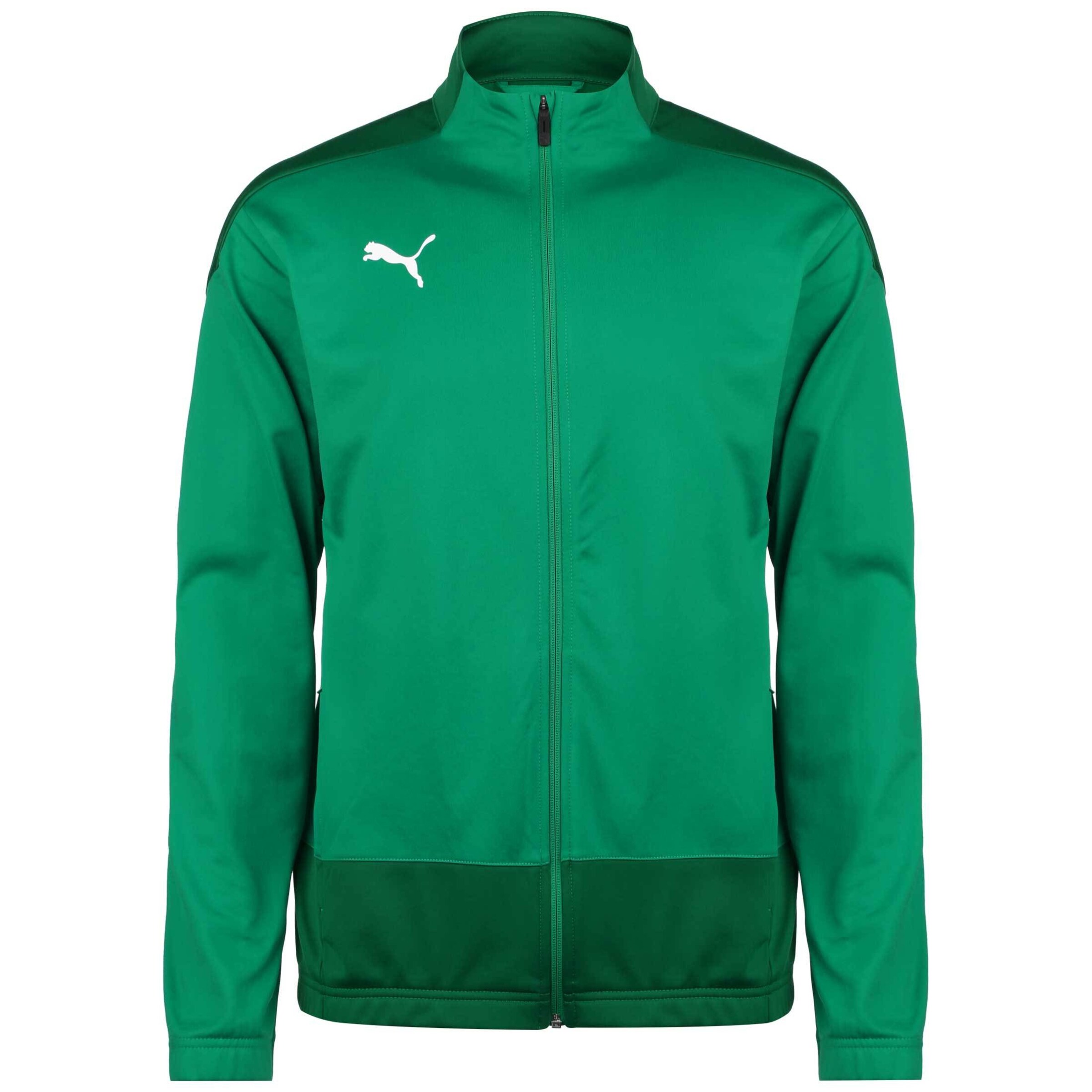 PUMA Training Jacket 'TeamGoal 23' in Green: front