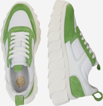 Apple of Eden Låg sneaker 'Blair' i grön