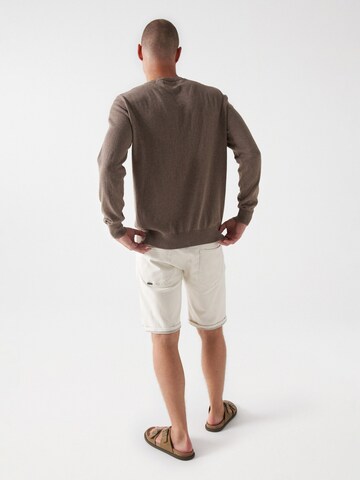 Salsa Jeans Pullover in Braun
