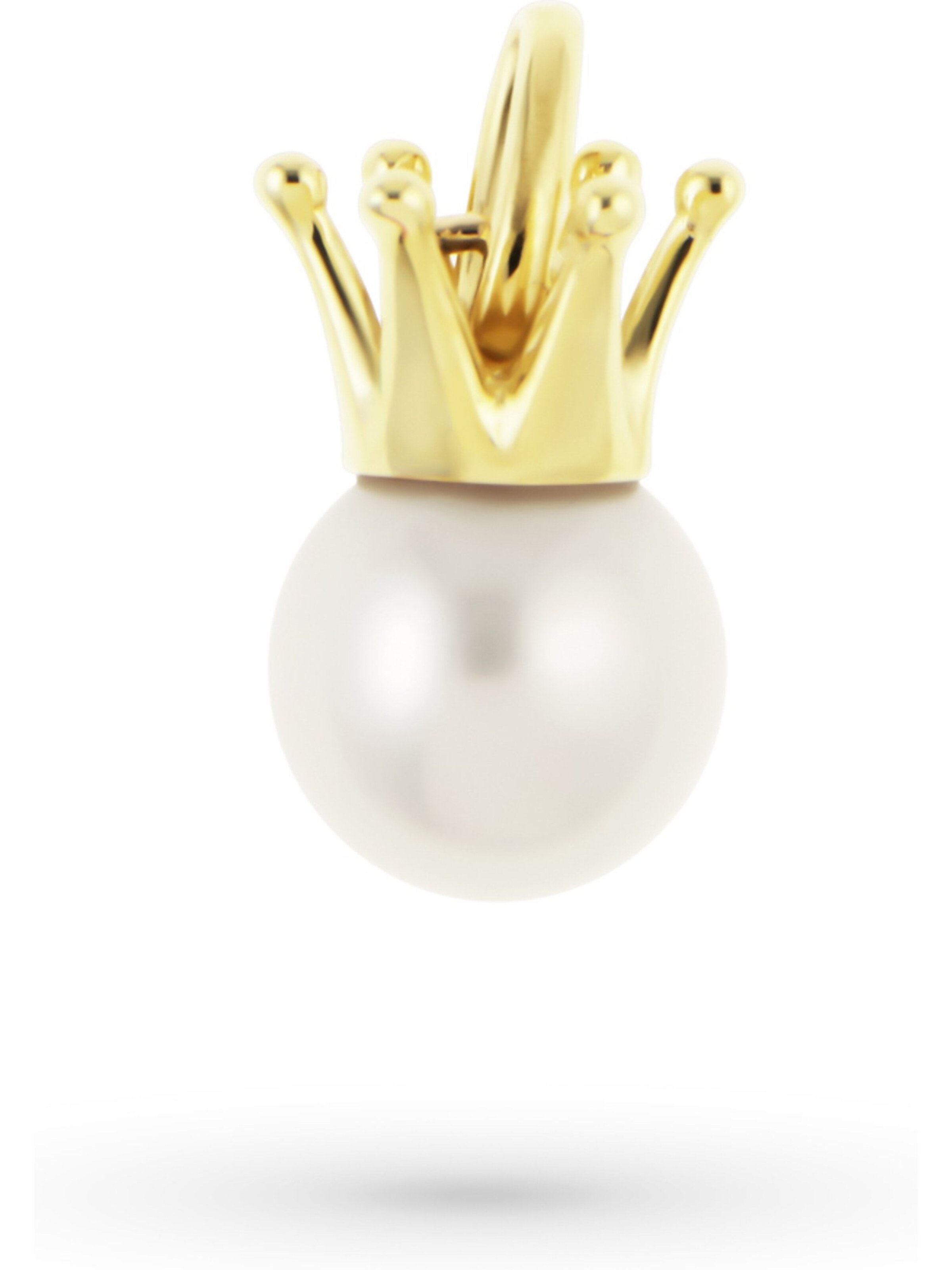 FAVS Anhänger in Gold: Vorderseite