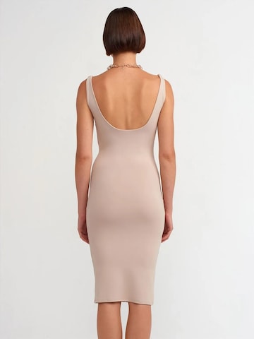 Dilvin Midi Kleid in Mischfarben