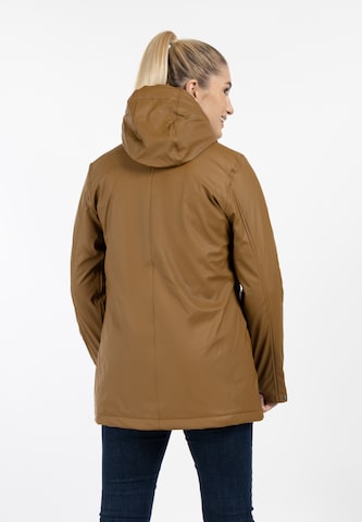ICEBOUND Prehodna jakna | rjava barva