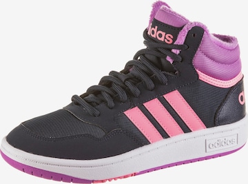 ADIDAS ORIGINALS High-Top Sneakers 'Hoops 3.0' in Pink: front