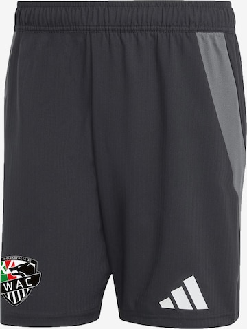 ADIDAS PERFORMANCE Sportshorts in Schwarz: Vorderseite