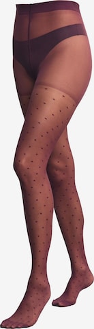 purpurinė Next Pėdkelnės: priekis