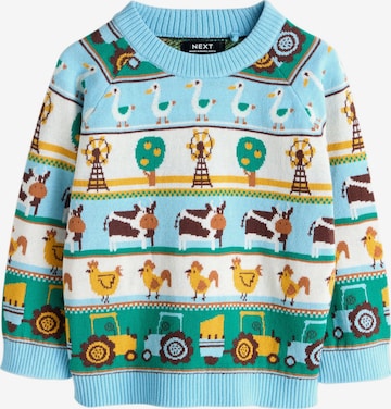 mėlyna Next Megztinis: priekis