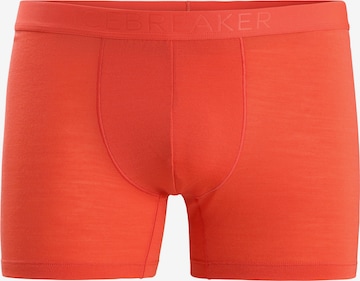 ICEBREAKER Boxershorts 'Anatomica' in Orange: predná strana