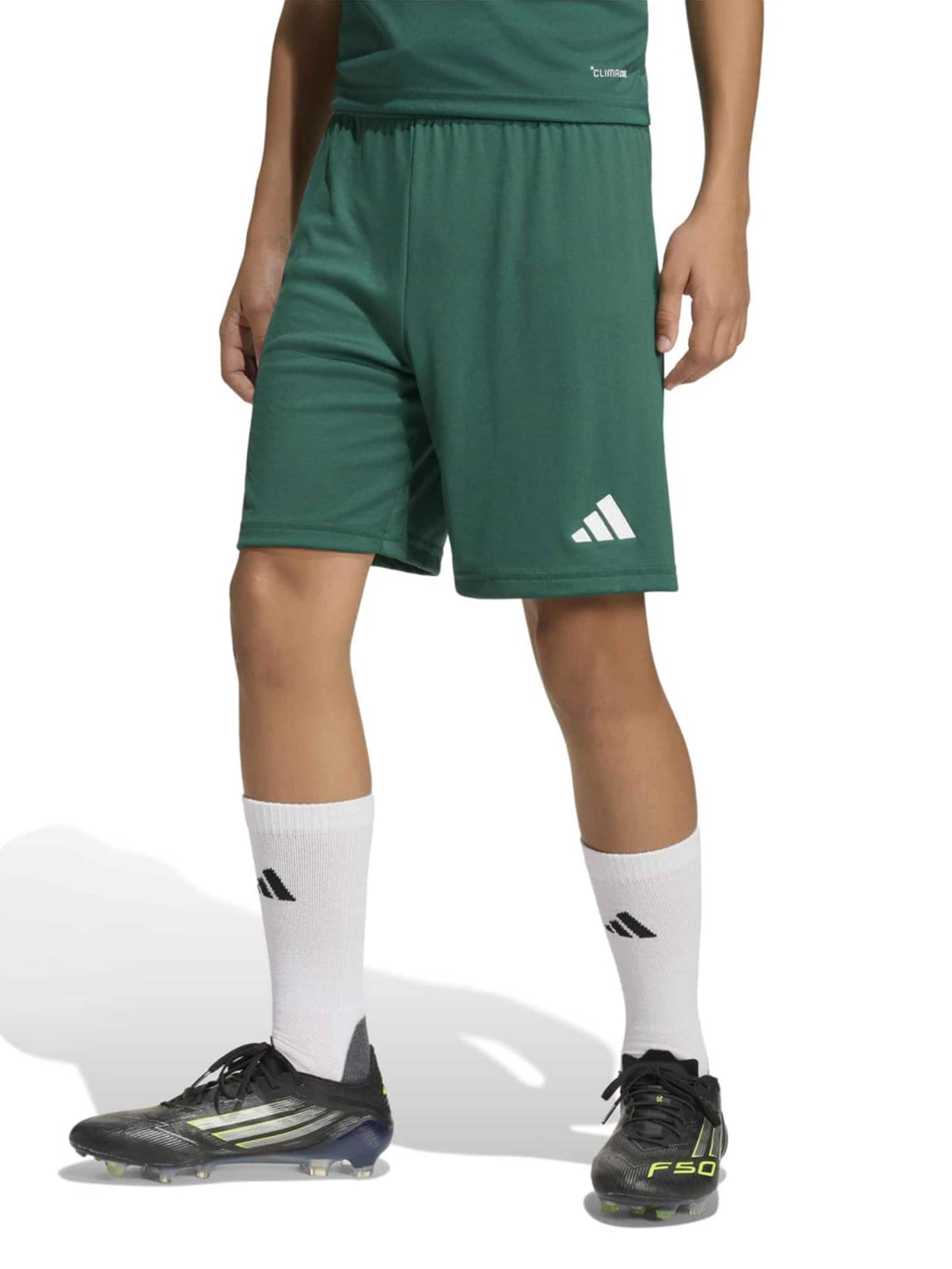 Regular Pantalon de sport 'ENT26' ADIDAS PERFORMANCE en vert
