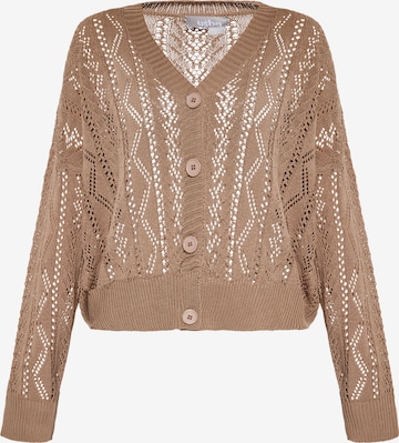 Usha Knit Cardigan in Brown: front