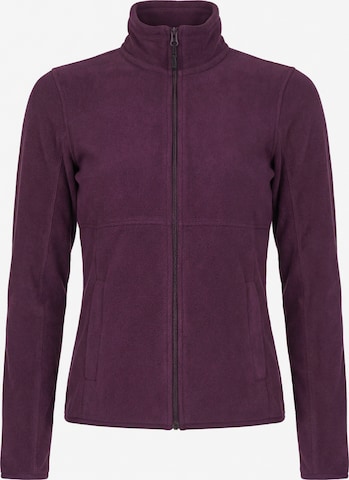 Carrera Jeans Sweatjacke 'High Neck' in Rot: Vorderseite