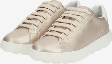 GEOX Sneakers in Gold