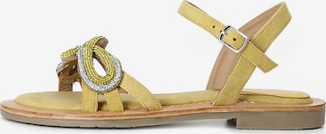 Sandalo di CAFè NOIR in giallo: frontale