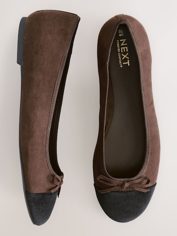 Next Ballet Flats in Brown