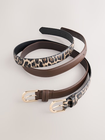 Cintura di Next in marrone