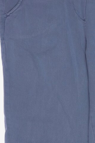 Deerberg Pants in S in Blue