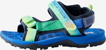 Next Avonaiset kengät värissä sininen: etupuoli