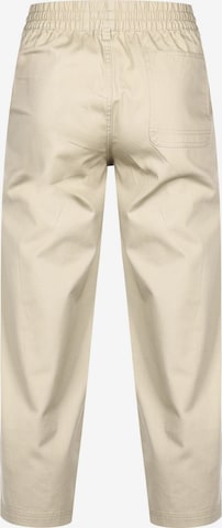 regular Pantaloni 'Puma x Santa Cruz' di PUMA in beige