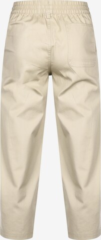 Regular Pantalon 'Puma x Santa Cruz' PUMA en beige