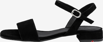 LLOYD Sandals in Black: front