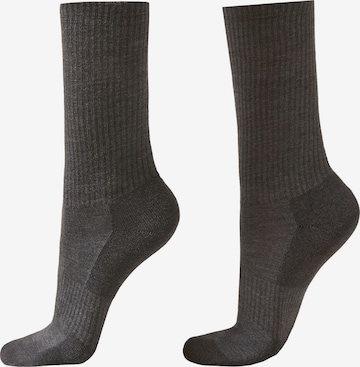 CALZEDONIA Socks in Grey: front