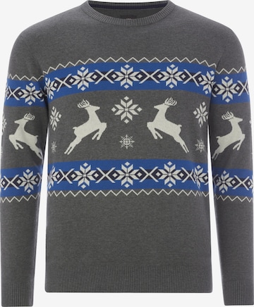 Jan Vanderstorm Trui ' Tore ' in Grijs: voorkant