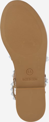 STEVE MADDEN Strap Sandals 'TRAVEL' in Brown