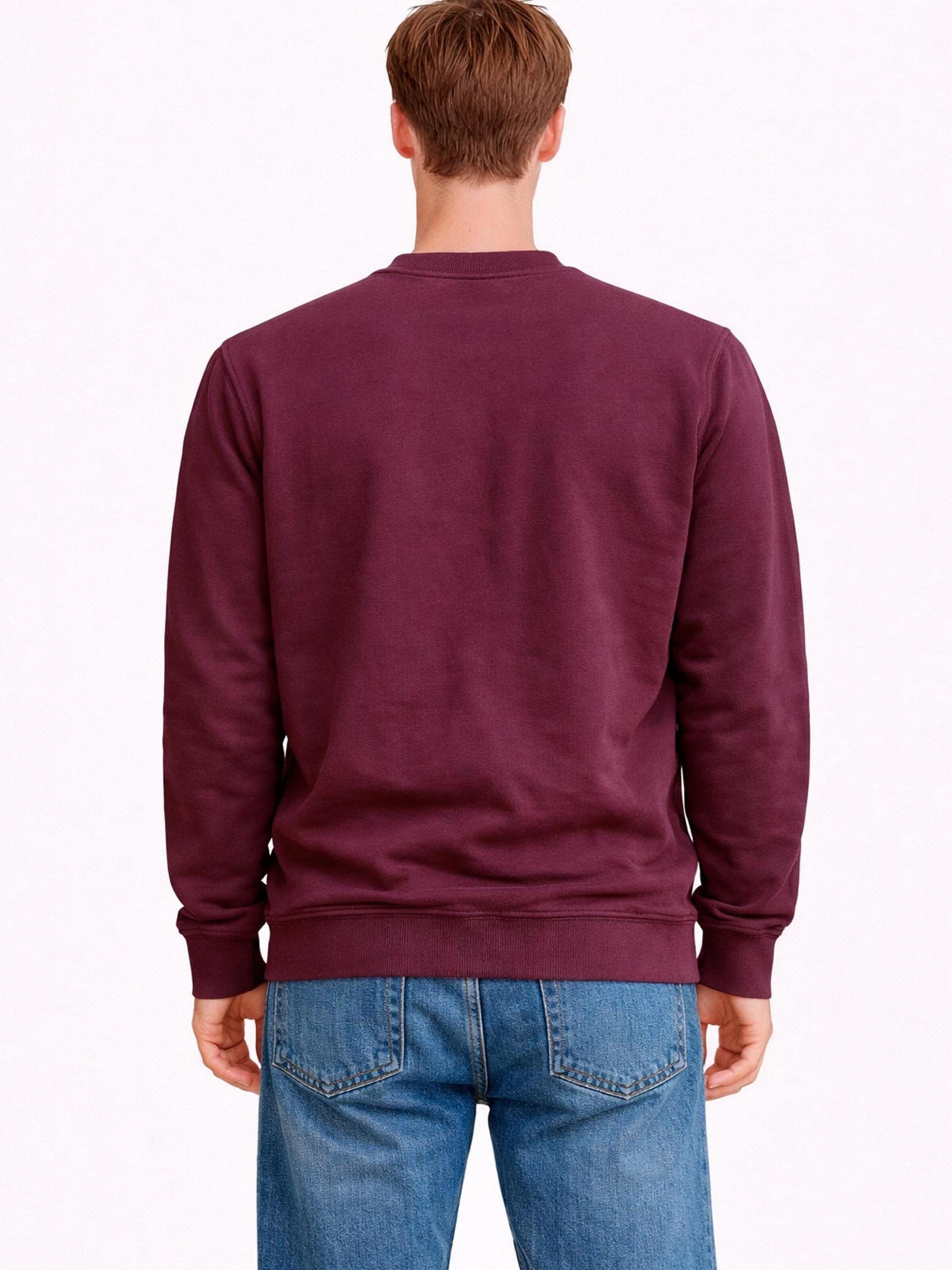 A Question Of (AQO) Sweatshirt 'Johannes' in Lila
