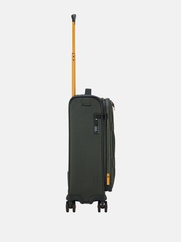 Trolley di Roncato in verde