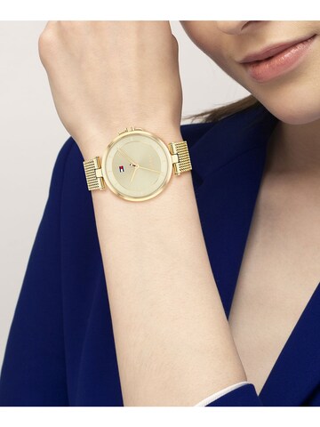 TOMMY HILFIGER Uhr in Gold