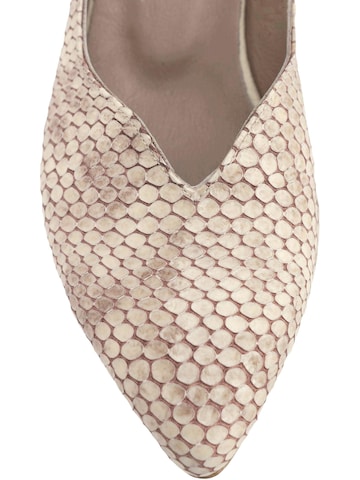 Limoya Pumps 'Samia' in Beige