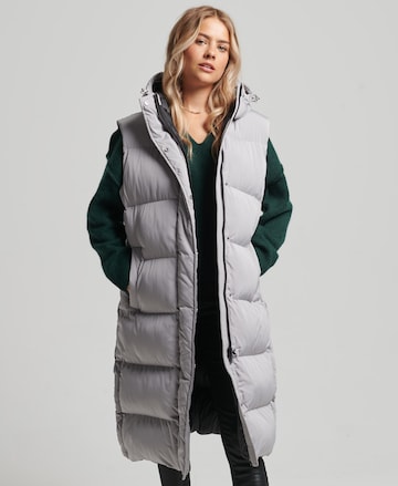 Superdry Bodywarmer in Grijs: voorkant