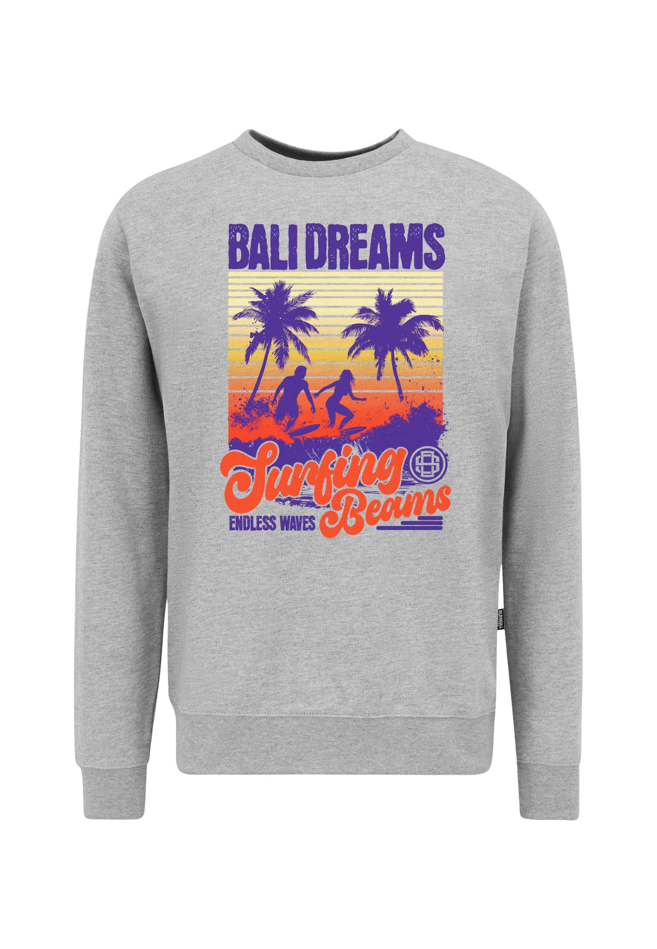 Oldskull Sweatshirt 'Wrldvibe Bali Beam Graphic' in Grey: front