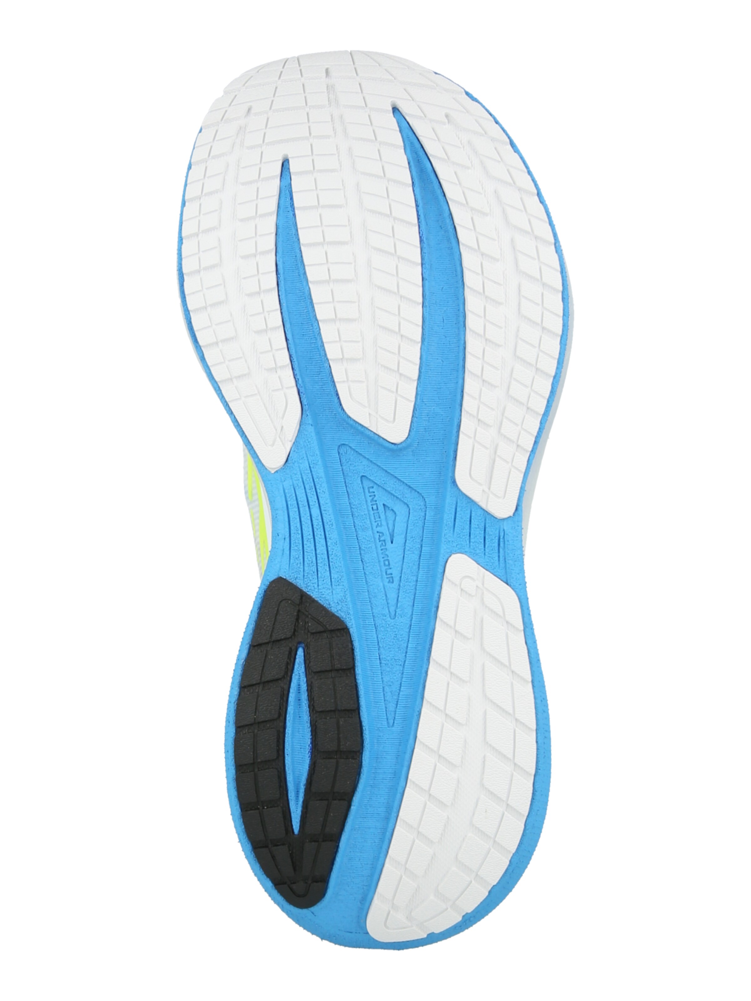 UNDER ARMOUR Обувь для бега 'Velociti Distance' в Синий