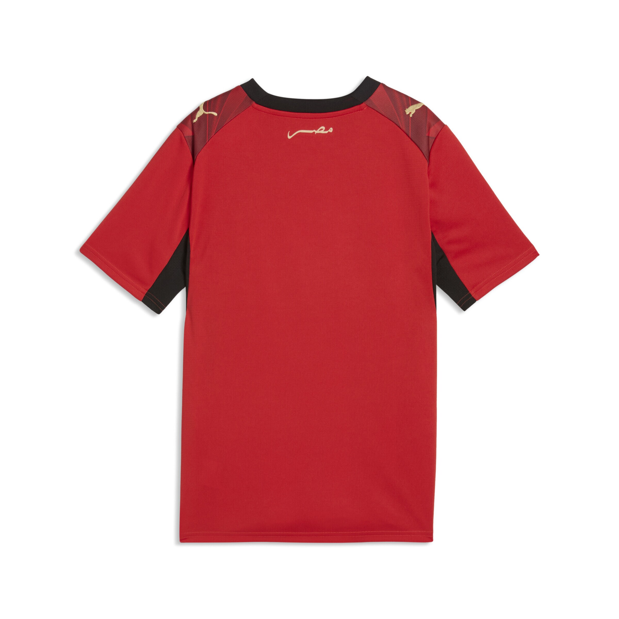 PUMA Functioneel shirt 'Ägypten' in Rood