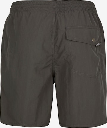 O'NEILL Athletic Swim Trunks in Grey