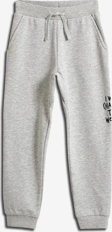 SOMETIME SOON Regular Pants 'Pasadena' in Grey: front