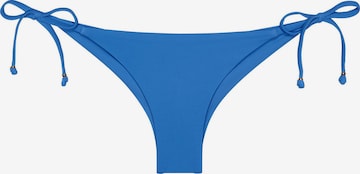 Bas de bikini ' Red Label Palina Love by the Sea ' TRIUMPH en bleu : devant