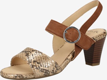 ARA Strap Sandals in Brown: front