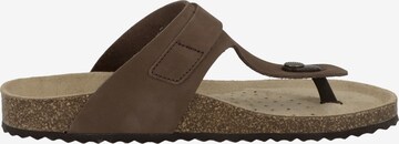 GEOX Teenslipper 'Brionia' in Bruin