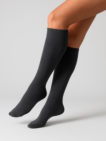 NERS Knee High Socks 'Novera' in Grey