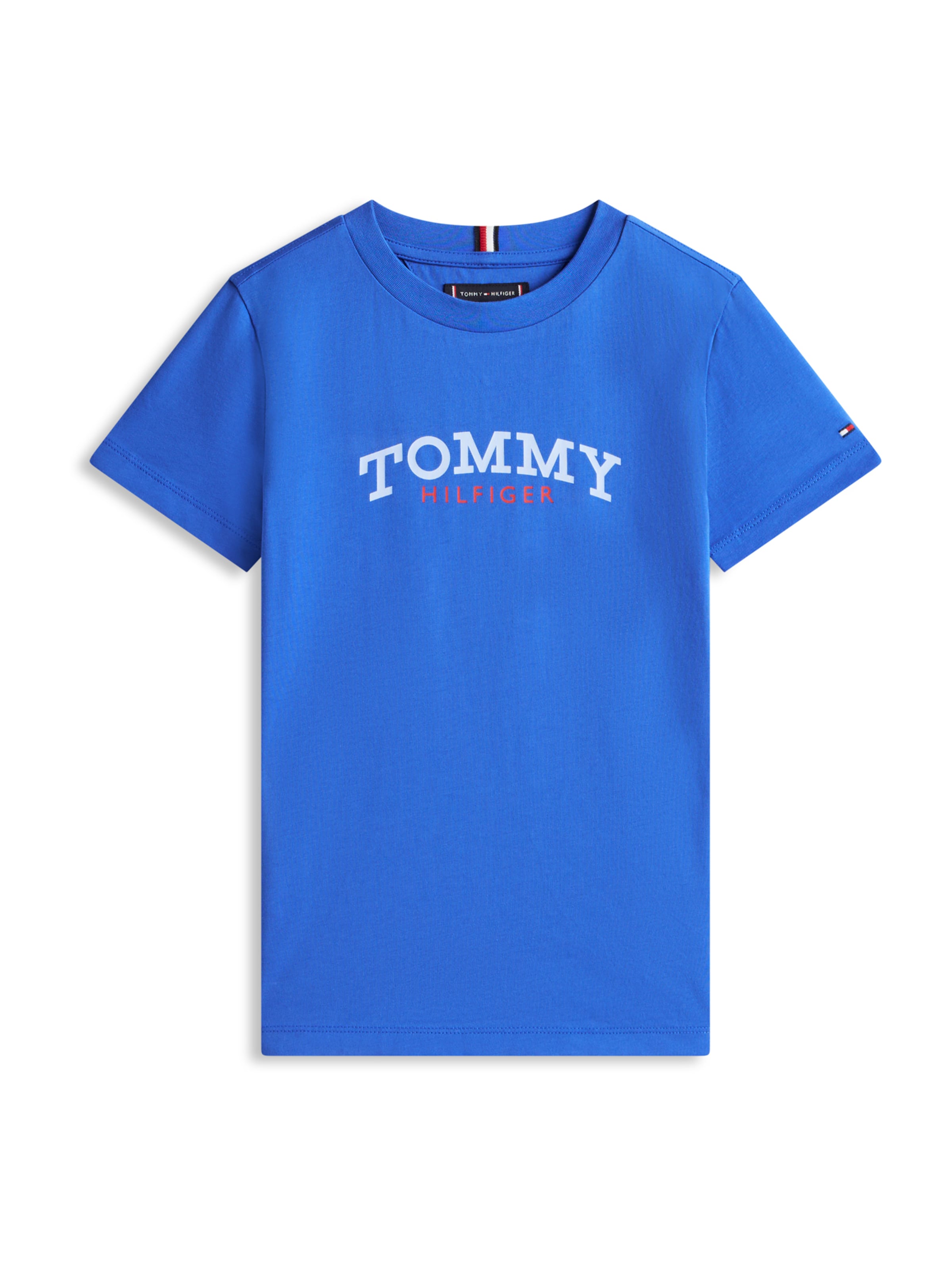 TOMMY HILFIGER - Camisola em azul: frente