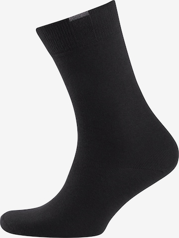 Nur Der Socks ' Passt Perfekt ' in Black