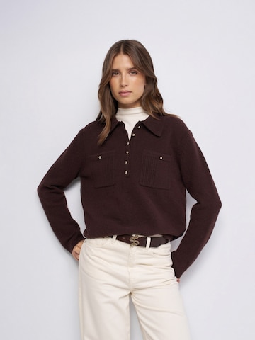Salsa Jeans Trui in Bruin