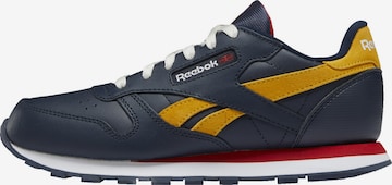 Reebok Sneakers in Blue: front