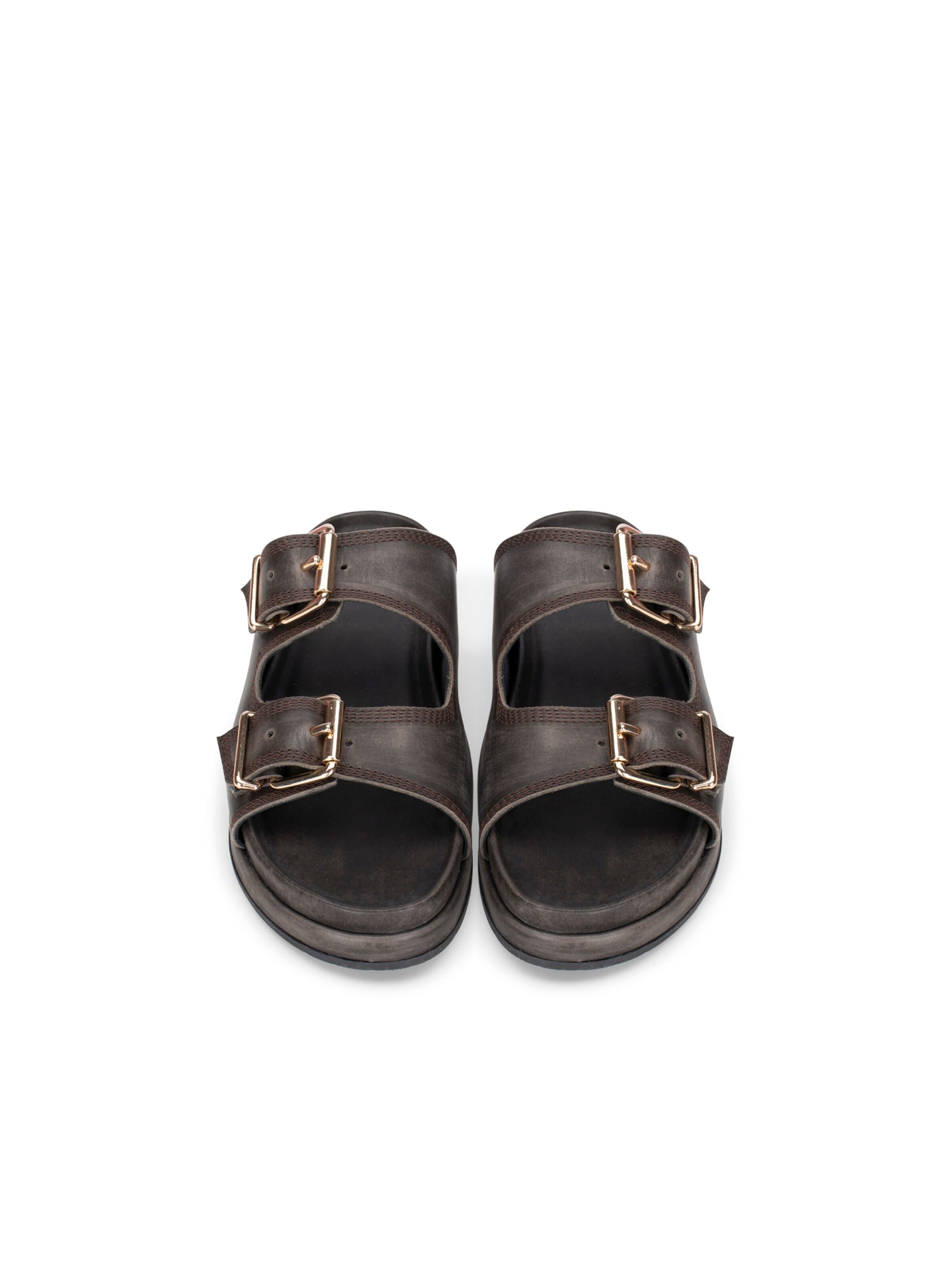 Haboob Mules 'Mag' in Brown