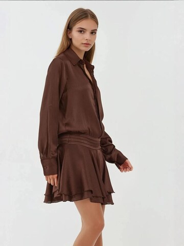 Hiccup Kleid in Braun